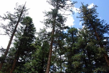 DSC_0117.JPG