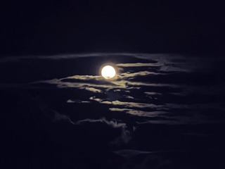 A6D03EFC-8407-4291-A36D-25190B8AC881/L0/001