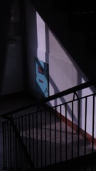 117149