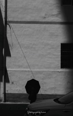 1330619