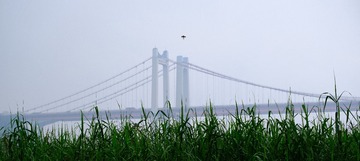 6F5F3683-008F-4A3E-86AE-CC306EEE4697/L0/001