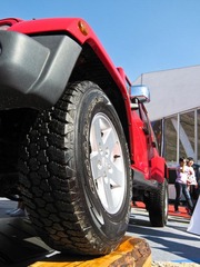 IMG_0879-2-1.jpg