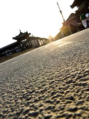 IMG_0955-2-1.jpg