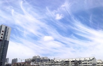 20120813108_.jpg