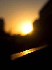 IMG_0752-1.jpg