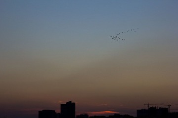 IMG_0763-1.jpg
