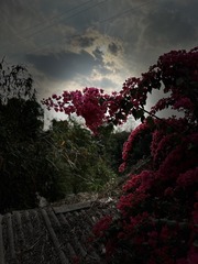 0452B5C3-45D1-4A61-92F0-825B47650F7B/L0/001
