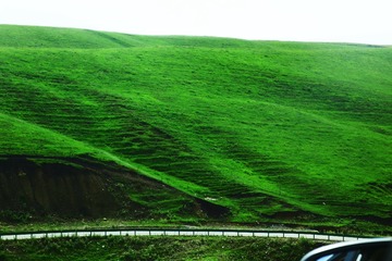 9814D9A3-FEA2-4C95-8F39-7A8E5FEF3AED/L0/001