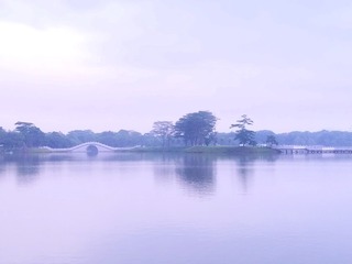 16541