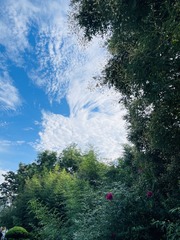 2199756D-D349-45C5-80CD-C015FA5D1896/L0/001