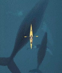 3035109