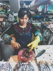 IMG_0829_ps