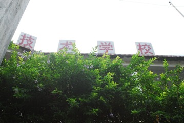 CCD_0012