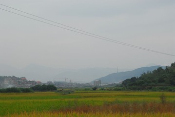 CCD_0010