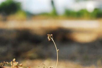 CCD_0022