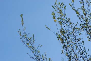 CCD_0070