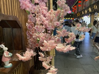3C73D61B-B702-4F9F-A5FF-68524FDF4226/L0/001