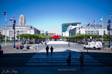 L1002487.jpg