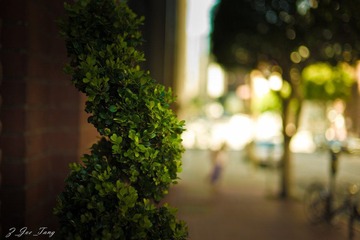 L1002159.jpg