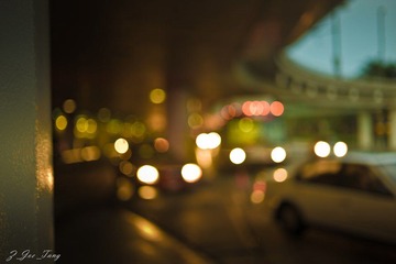 L1002788.jpg