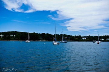 L1001365.jpg