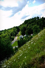 L1000260.jpg