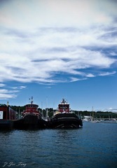 L1001324.jpg
