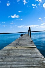 L1001416.jpg