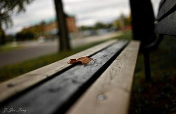 L1003049.jpg