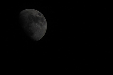 IMG_0525.jpg