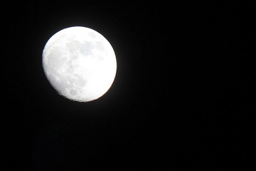 IMG_0758.jpg