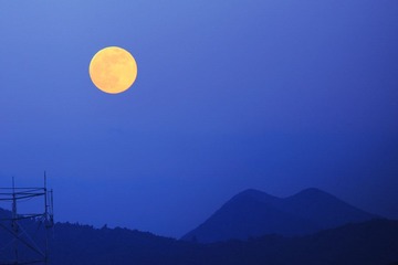 IMG_0900.jpg