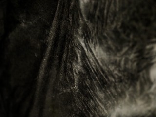 F077EACE-DF3B-4C91-9CD8-925ED4D9D8DD/L0/001