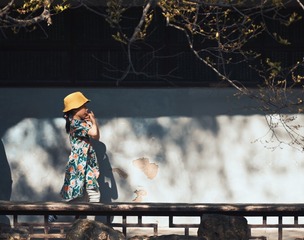 CBC84877-E0C4-4FCF-A0E5-57F7393A1CDD/L0/001
