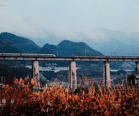 B3B099C7-0DE9-4E04-84A7-11174E361228/L0/001