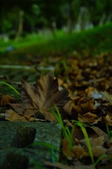 472A60CF-F012-42D0-A6BA-C6AAB797781F/L0/001