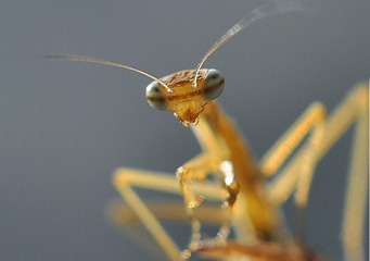 120051