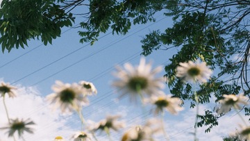 82D8EC99-BA9A-45FE-9396-0B4FD874221F/L0/001