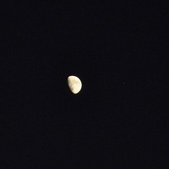 51B99E60-3768-4BD9-A3CF-056252A19162/L0/001