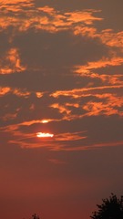 04FF768E-7656-42F7-85EE-16B6B7961C7D/L0/001