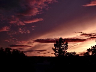 11421FC7-9C4D-4CE4-AEED-3CA9F5683204/L0/001