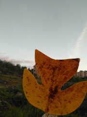 4176799