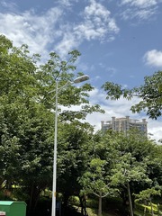 25BDE18D-3186-435B-A0BA-AA2AE68DC9C8/L0/001