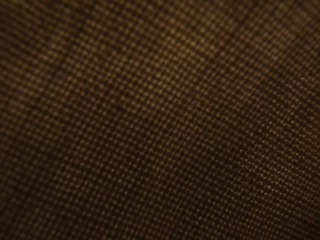 R0012041.JPG
