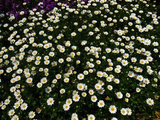 R0014910.JPG