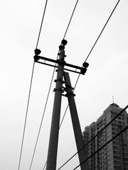 R0015870副本.jpg
