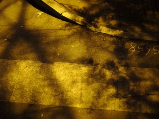 R0016975.JPG