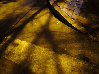 R0016976.JPG