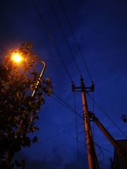 R0019119副本.jpg