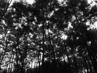 R0018805.JPG